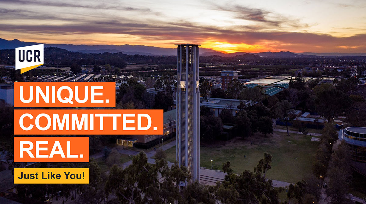 Unique. Committed. Real. Just like you. Aerial image of the campus at dusk.