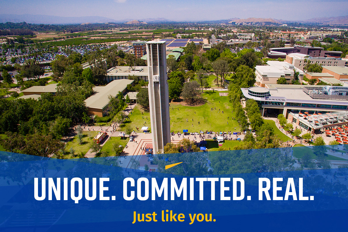 An overview of UCR's parklike campus and iconic bell tower