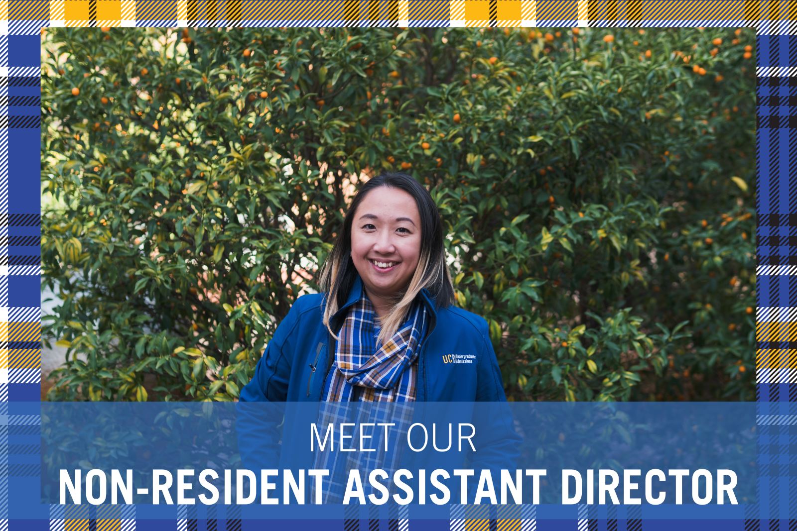 Get to Know UCR Undergraduate Admissions