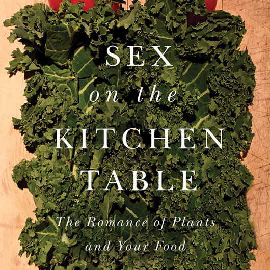 Sex on the Kitchen Table Book Cover