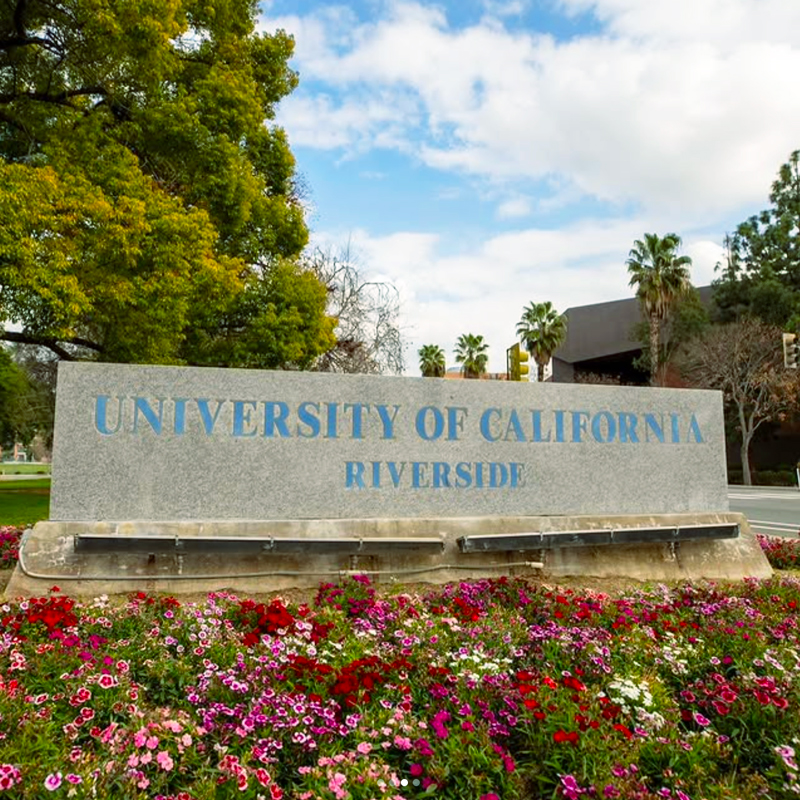 A view of the University of California, Riverside entrance sign with flowers in full bloom below it.