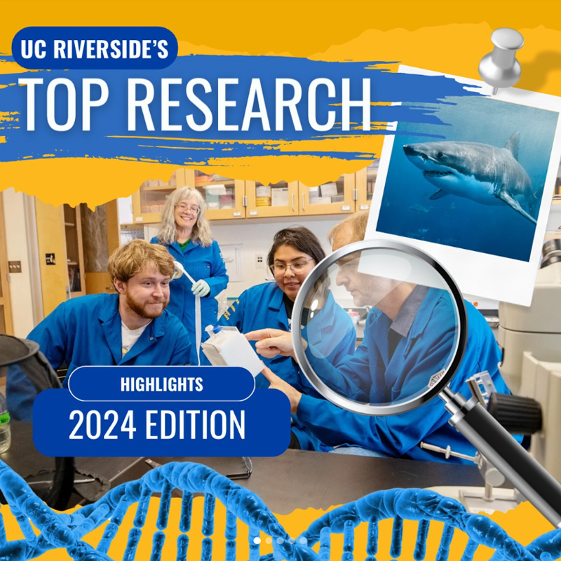 A graphic illustration for UC Riverside's Top Research - Highlights: 2024 Edition. A poloroid of a shark is pinned to the upper right, while a magnifying glass is shown over an image a lab with students and professors examining a device, and a DNA helix is at the bottom.