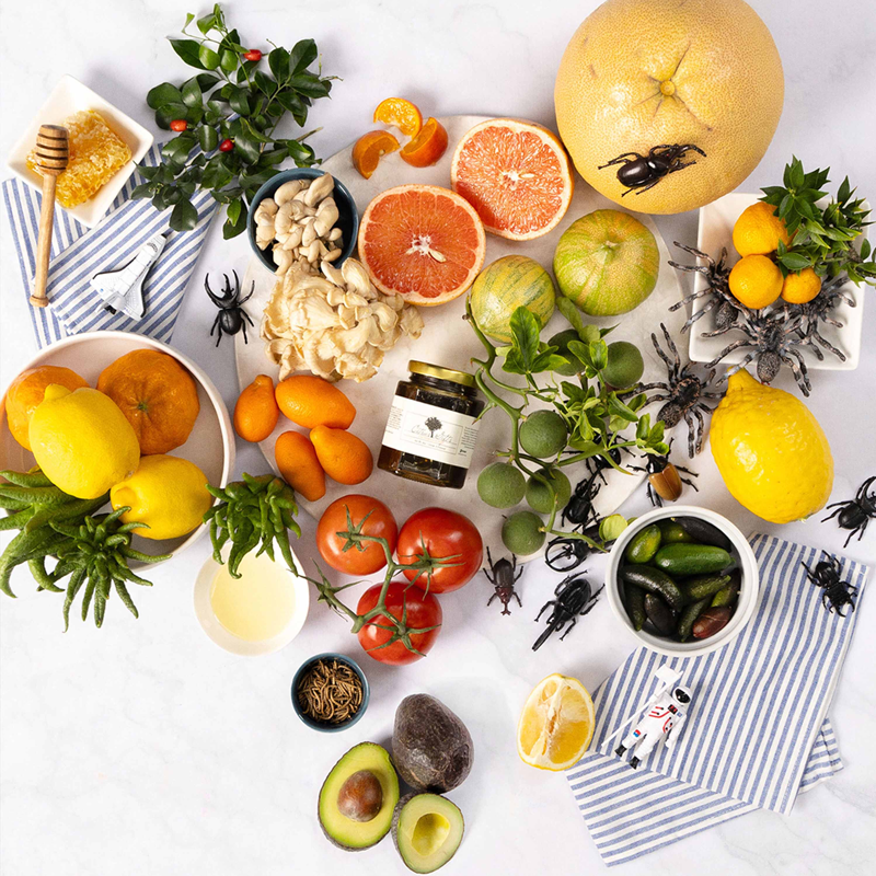 Highlander Foodies | Select to learn more An overhead view of fruits and vegetables spread out on a white table, including citrus fruits, avocados, and tomatoes. There is also honey comb and fake insects spead throughout.