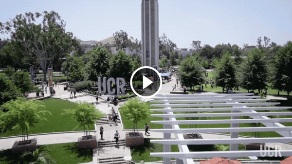 VIDEO: Why Transfer to UC Riverside